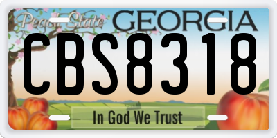 GA license plate CBS8318