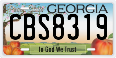 GA license plate CBS8319