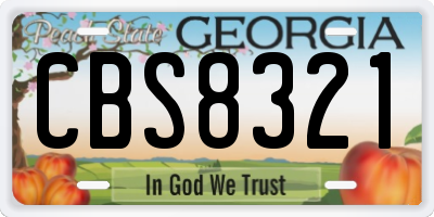 GA license plate CBS8321