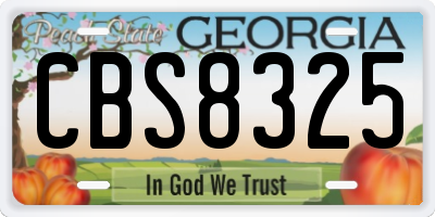 GA license plate CBS8325