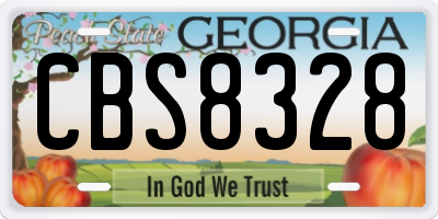 GA license plate CBS8328
