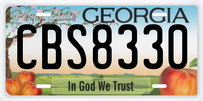 GA license plate CBS8330