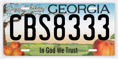 GA license plate CBS8333