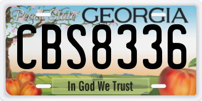 GA license plate CBS8336