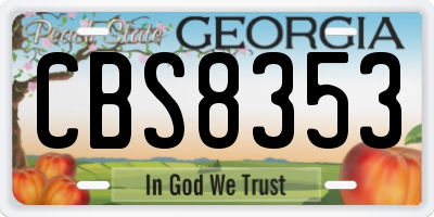 GA license plate CBS8353