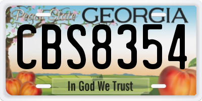 GA license plate CBS8354