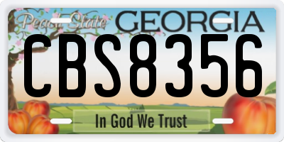 GA license plate CBS8356