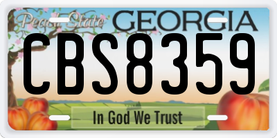 GA license plate CBS8359