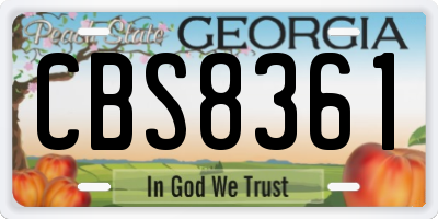 GA license plate CBS8361