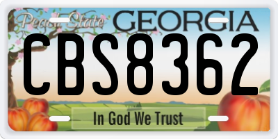 GA license plate CBS8362