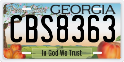 GA license plate CBS8363