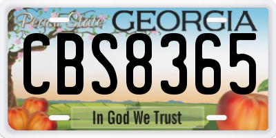 GA license plate CBS8365
