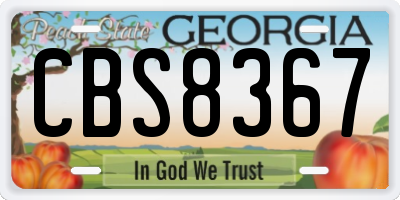 GA license plate CBS8367