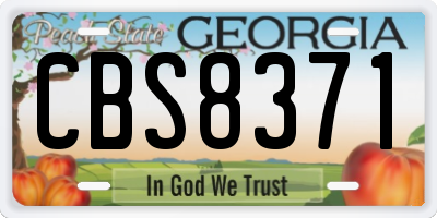 GA license plate CBS8371