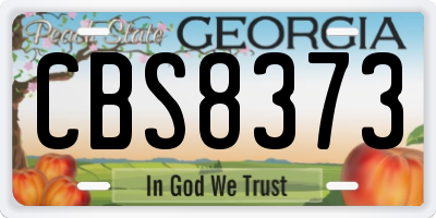 GA license plate CBS8373