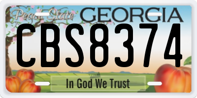 GA license plate CBS8374