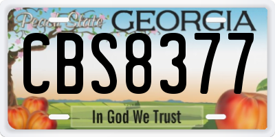 GA license plate CBS8377