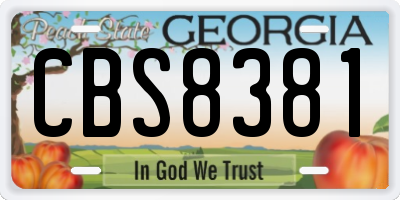 GA license plate CBS8381