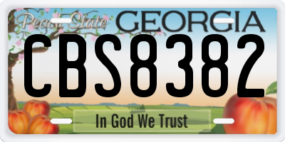 GA license plate CBS8382