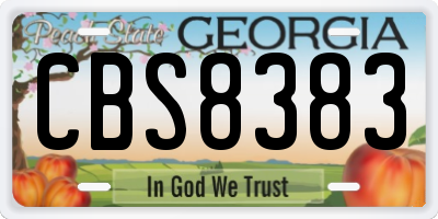 GA license plate CBS8383