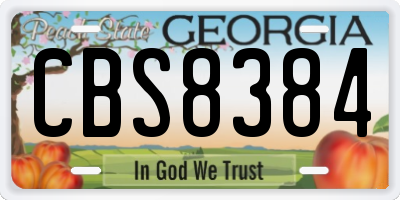 GA license plate CBS8384