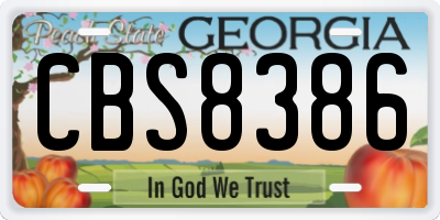 GA license plate CBS8386