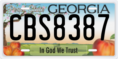 GA license plate CBS8387