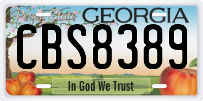 GA license plate CBS8389