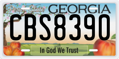 GA license plate CBS8390
