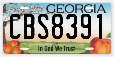 GA license plate CBS8391