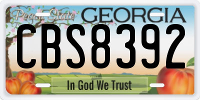 GA license plate CBS8392