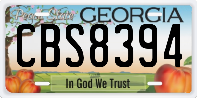 GA license plate CBS8394
