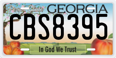 GA license plate CBS8395