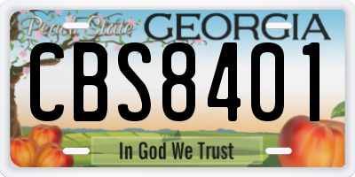 GA license plate CBS8401