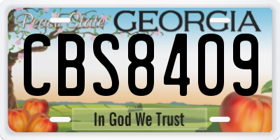 GA license plate CBS8409