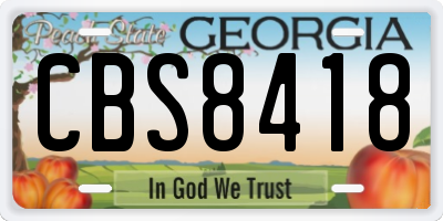 GA license plate CBS8418