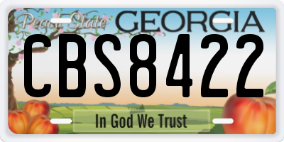 GA license plate CBS8422