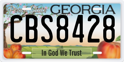 GA license plate CBS8428