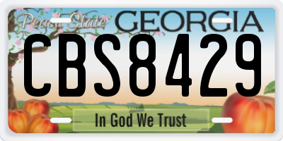 GA license plate CBS8429