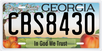 GA license plate CBS8430
