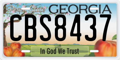 GA license plate CBS8437