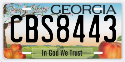 GA license plate CBS8443