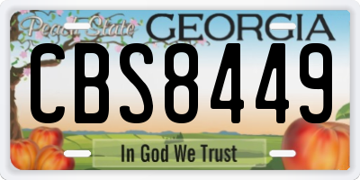 GA license plate CBS8449
