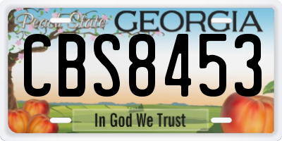 GA license plate CBS8453