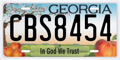GA license plate CBS8454