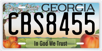 GA license plate CBS8455