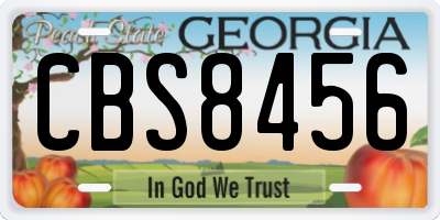 GA license plate CBS8456