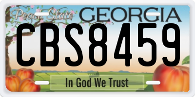 GA license plate CBS8459