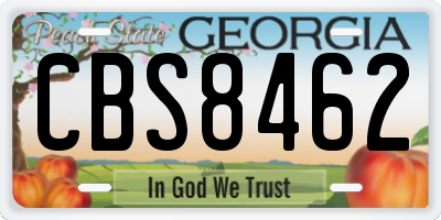 GA license plate CBS8462