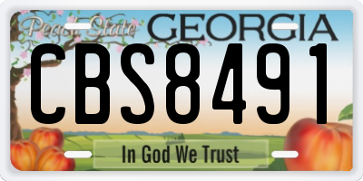 GA license plate CBS8491